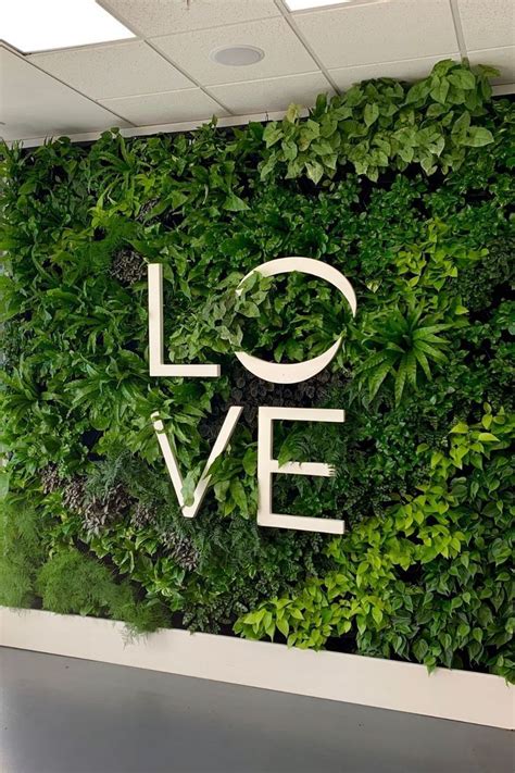 Plant Benefits, Plant Guide, Salon Interior Design, Spring Hill, Moss Wall, Nature Indoors ...