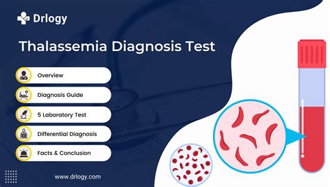 5 Important Thalassemia Diagnosis Test for Accurate Solution - Drlogy