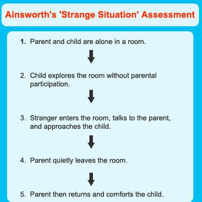 A-Screw-Loose: The Attachment Theory