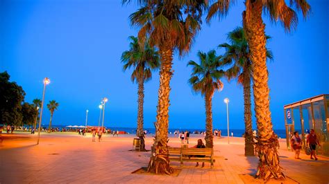 Barceloneta Beach in Barcelona, | Expedia