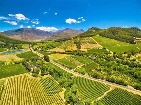 Full Day Winelands Tour | Africa Moja Tours