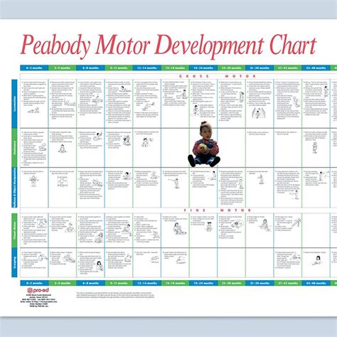 Developmental Tests :: Ptarehabacrossthelifespan-com9