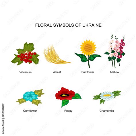 Vector set of floral symbols of Ukraine. Colorful cliparts of viburnum, wheat, sunflower, mallow ...