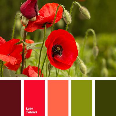 color combination for interior decor | Color Palette Ideas