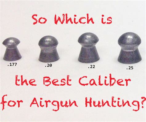 Which is the best Caliber for Airgun Hunting?