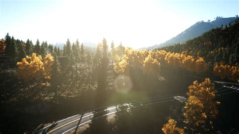 Aerial Drone View Flight over pine tree forest in Mountain at sunset ...