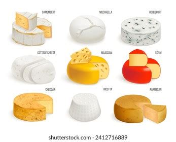 Realistic Cheese Types Various Cheeses Collection Stock Vector (Royalty ...