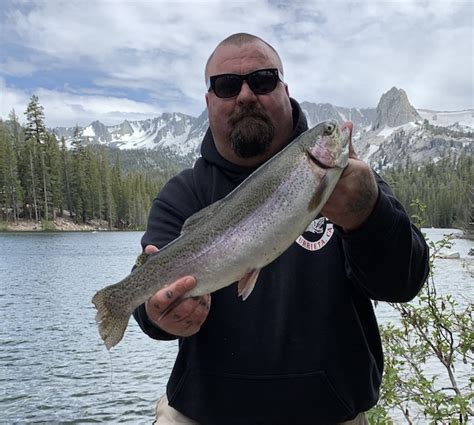 Lake Mamie Fish Report - Mammoth Lakes, CA (Mono County)