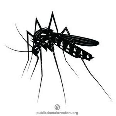 Download High Quality mosquito clipart realistic Transparent PNG Images ...