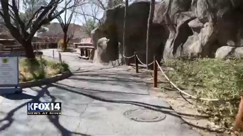 After more than a decade, the El Paso Zoo says farewell to its director ...