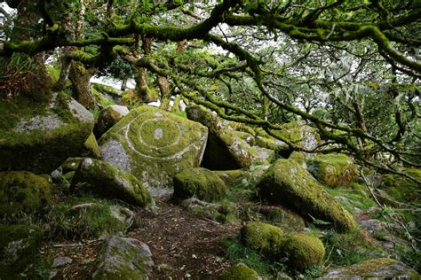 Tangled Oaks and Dithering Green in Wistman’s Wood – Zoetica Ebb ...