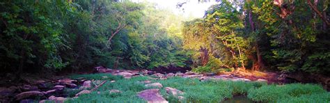 Eno River State Park › North Carolina Science Trail