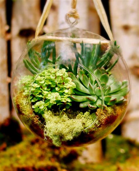 STYLISH HANGING TERRARIUM in New York, NY | Flowers by Philip