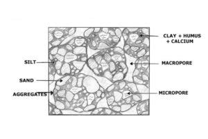 Granular soil structure | Symbiosis Agriculture