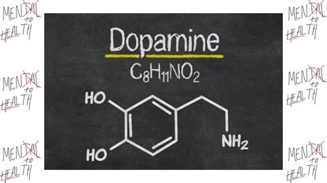 Dopamine: the reward system - YouTube