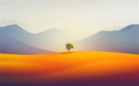 MacOS Sonoma Wallpaper | Wallpaper, Sonoma, Wallpaper downloads