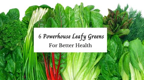 6 Powerhouse Leafy Greens for Better Health - Balanced Health and You