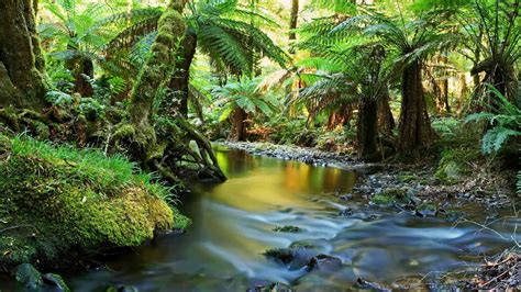 Minnamurra Rainforest Centre - The Fold Illawarra