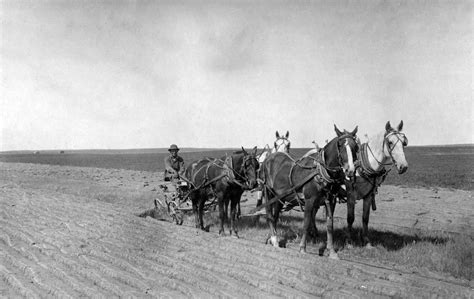 Montana Memories: Farm & Ranch Pictorial History Book – Pediment Publishing