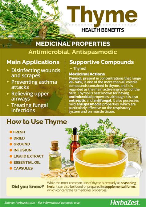 Thyme Herb Benefits