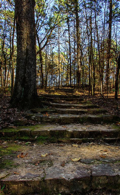 Hiking Path-Caddo Lake State Park-5722 Photograph by Keith Johnson | Pixels