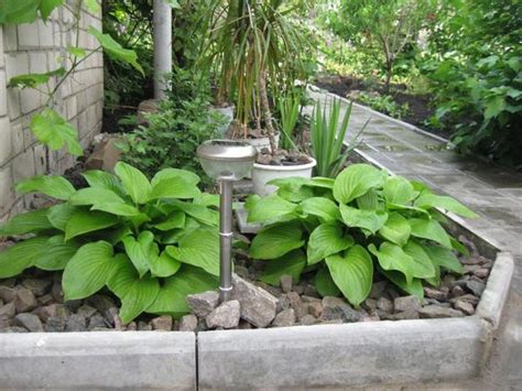 21 Ideas for Beautiful Garden Design and Yard Landscaping with Hostas