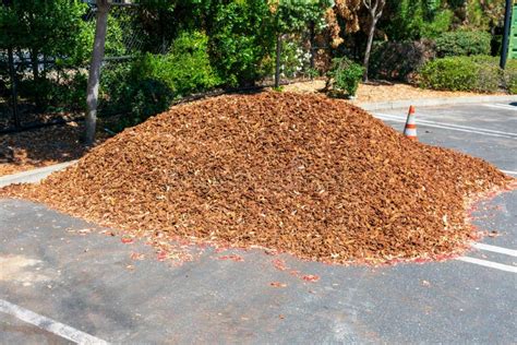 Pile of Mulch Seen on a Street in Front of a House by a Tree Stock Image - Image of compost ...