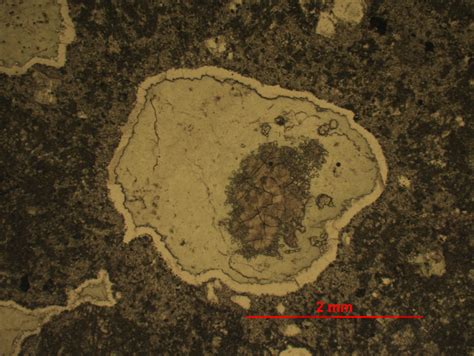 Whether the structure is volcanic vesicular / amygdaloidal structure or not?