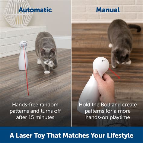 Petsmart Interactive Cat Toys | Wow Blog