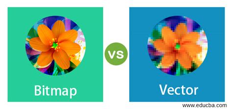 Bitmap vs Vector | 17 Amazing Comparisons of Raster vs Vector