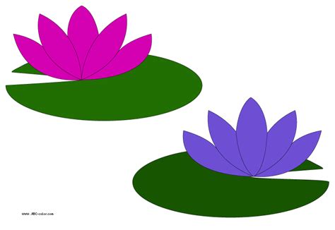 Picture water lilies - ClipArt Best - ClipArt Best