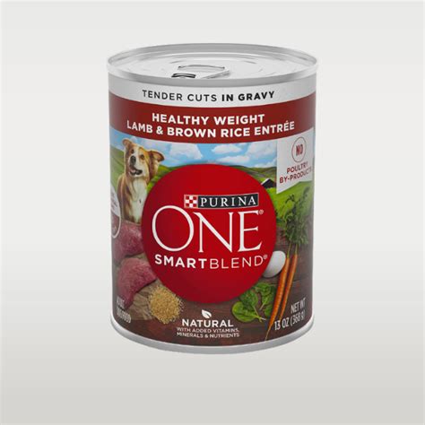 Purina ONE SmartBlend Natural – Moa's Products