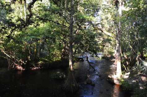 Hillsborough River State Park: Rapids Trail and Florida Trail Loop ...