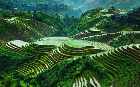 🔥 Banaue Rice Terraces : r/NatureIsFuckingLit