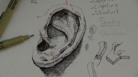 Pen & Ink Drawing Tutorials | How to draw a realistic ear | Ink drawing techniques, Ink pen drawings