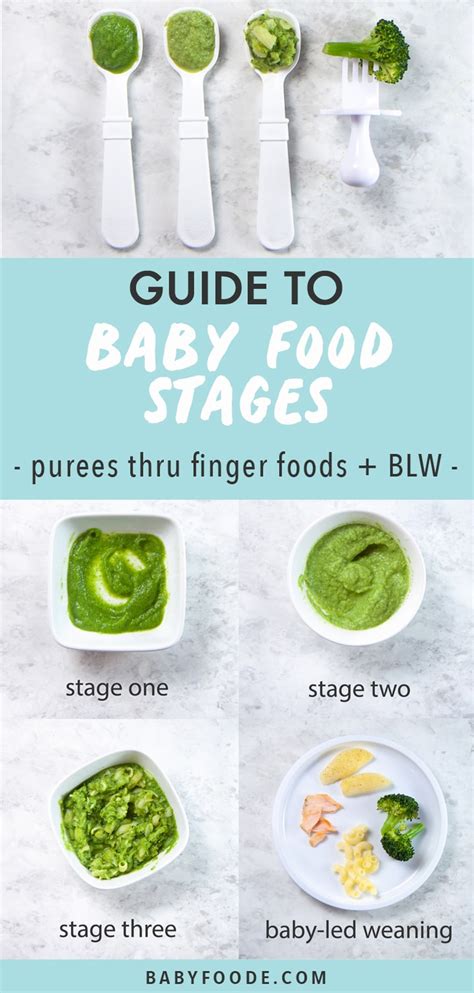 When Should My Baby Eat Stage 3 Foods - Pisani Loverrien