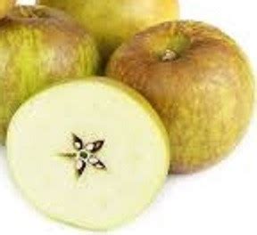 Favorite Russet Apples - General Fruit Growing - Growing Fruit