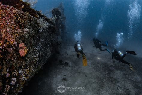 Puerto Galera Diving | Puerto Galera Scuba Diving