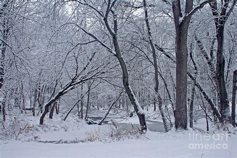 Winter Days Along The Creek Photograph by Kay Novy - Fine Art America