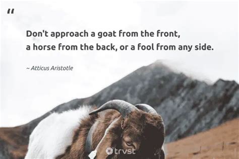 20 Goat Quotes And Sayings About The Bleating Creature (2024)