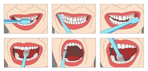 Overcome The Most Common Toothbrushing Mistakes With St Clair Dental