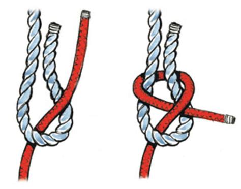 Seven Essential Knots for Sailors | Sailing knots, Sailor knots, Knots