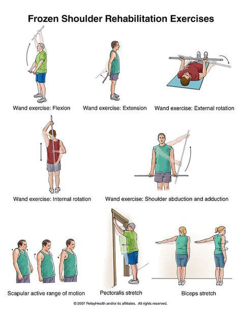 PT: Shoulder | 60+ ideas on Pinterest | physical therapy, hand therapy ...