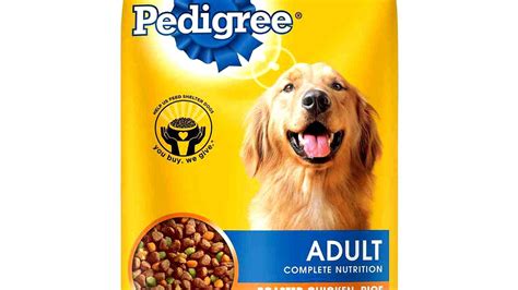 Best Tasting Dry Dog Food - Dog Choices