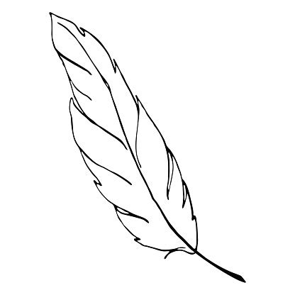 Monochrome Black And White Bird Feather Line Art Vector Stock Illustration - Download Image Now ...