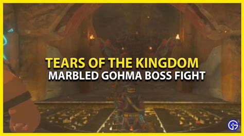 Source: Gamer Tweak. Visit How To Defeat Marbled Gohma Boss In Tears Of The Kingdom (TOTK) for ...