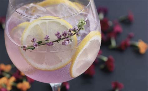 Flavored Gin » Best 5 Gin Flavors For Your Collection 🍸 | Easter cocktails, Low alcohol drinks ...