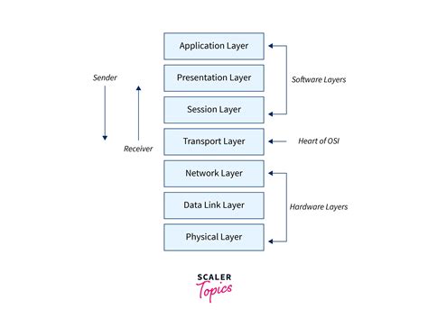 Application Layer Protocols in Computer Network | Scaler Topics