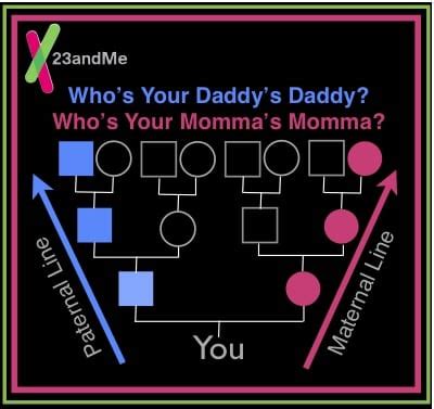 Who Planted The Family Tree? - 23andMe Blog