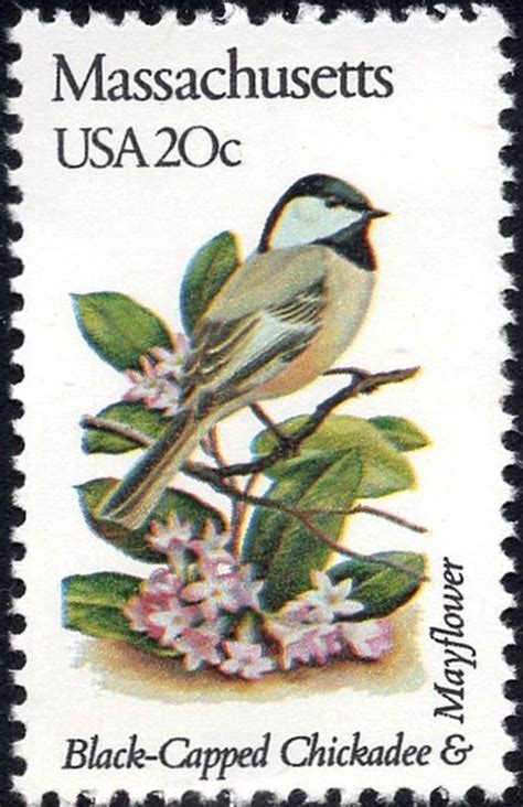 Five 20c MASSACHUSETTS State Bird and Flower Stamp Vintage - Etsy | State birds, Postage stamps ...